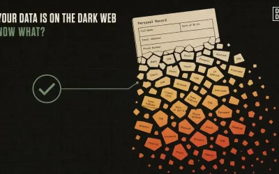 A document breaking into scattered fragments falling into coral, with a single sage checkmark linked back to it, illustrating what to do when your data reaches the dark web.
