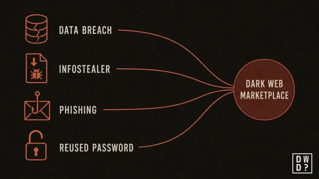 Flow diagram showing four routes — data breach, infostealer malware, phishing and reused passwords — converging on a dark web marketplace.