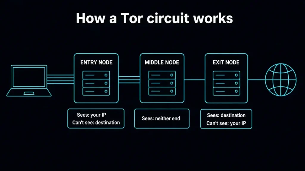 Diagram of a three-relay Tor circuit showing the entry node sees your IP but not the destination, the middle node sees neither end, and the exit node sees the destination but not your IP